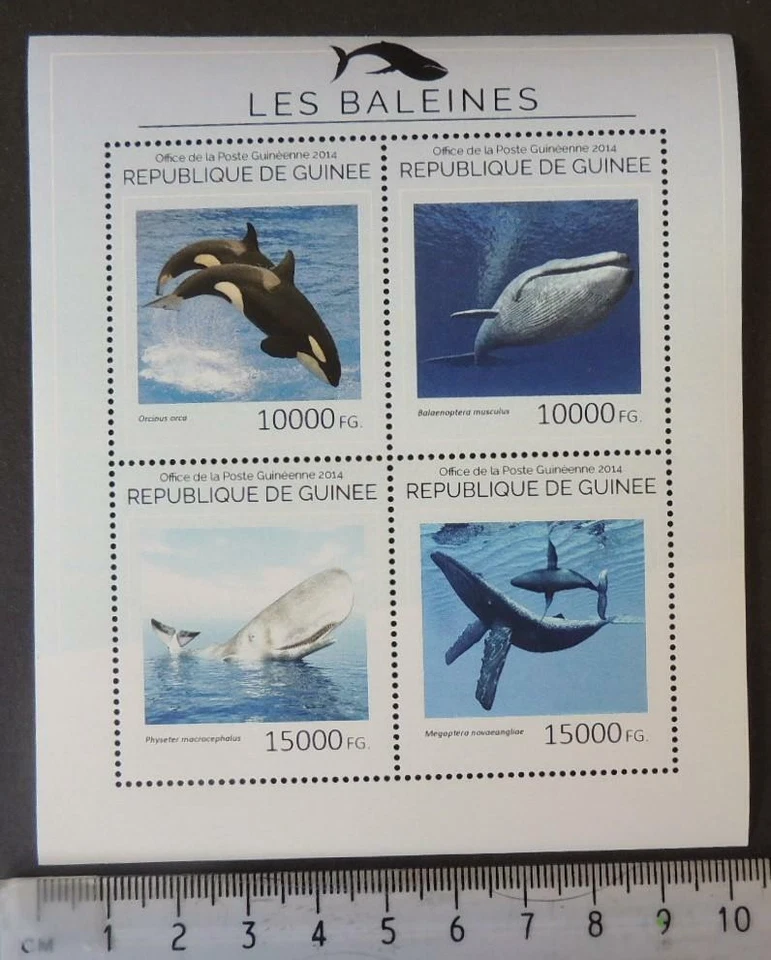 Гвинея 2014 киты млекопитающие морской жизни m/лист mnh - Изображение 1 из 1