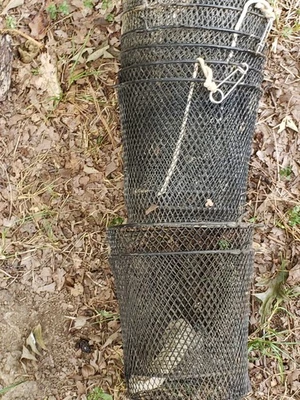 Trampa para cangrejos de río negro Frabill 1272 16-1/2" x 9" a la venta Foto 1 de 4