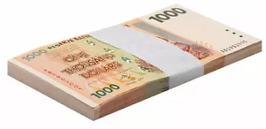 Zimbabwe pacchetto 1000 dollari, 2007, P-71, UNC X 100 pz - Foto 1 di 3