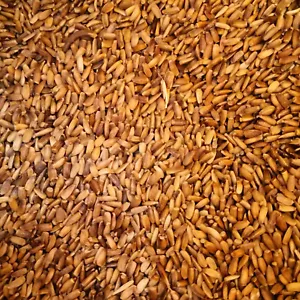 Eurital Mariendistel / Mariendistelsamen / Mariendistelsaat für Tiere 5 kg - Bild 1 von 1