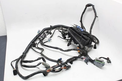 Harley-Davidson Dyna Wide Glide 2006 FXDWGI OEM motor principal cableado arnés cableado Foto 1 de 4