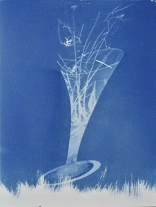 Cianotipia, STELI, Rita-Mungiardi, 2023, originale 31X41cm - Foto 1 di 10