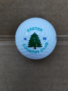 Exeter NH Country Club 1889 Logo Golf Ball - Picture 1 of 3