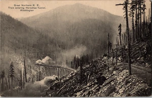 Horseshoe Tunnel Great Northern Railroad Train Washington State Forrest Postcard - Picture 1 of 5