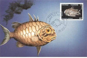 Card Maximum #23389 New Caledonia Noumea 1991 Monocentris Japonicus Dot - Picture 1 of 2