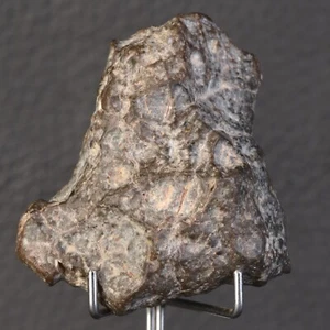 TOP Météorite Lunaire Laâyoune 003 appairée 53.86 g Achondrite Lune - Picture 1 of 14
