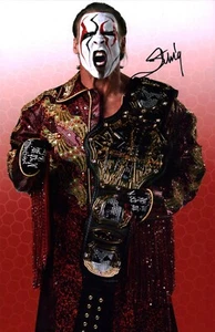 Sting WWE Wrestling 11x17 Photo Poster Signed JSA Certified Autograph - Picture 1 of 3