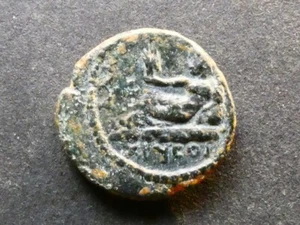 T6.1. Provinciale romano, Settimio Severo, Coele-Siria, Damasco, AE16. - Foto 1 di 2