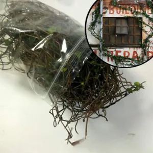 Miniature Wild Vine HO/OO Scale Landscape Field Plants Sand Table Scene Model - Picture 1 of 6