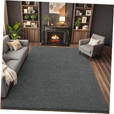  Alfombra de salón lavable 4x6, alfombras modernas con espuma viscoelástica suave para  Foto 1 de 4