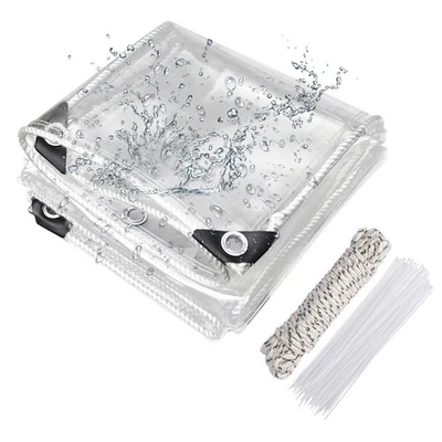 Telo Telone Impermeabile Esterno Occhiellato 2x3m, Telo PVC Trasparente Rinforza - Immagine 1 di 4