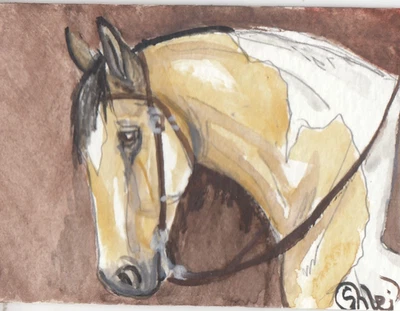 Tarjeta artística acuarela original ACEO CABALLO Buckskin tobiano pinto WP *BF compra 3*** Foto 1 de 3