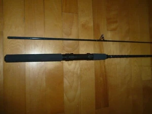 Spinning Fishing Rod Daiwa Graphite" Stunning Condition rods reels deals - Picture 1 of 8