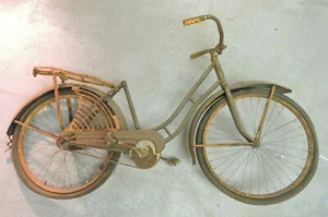 Elgin vintage FUNKY chain-guard bicycle, skiptooth, step thru, fenders - Picture 1 of 8