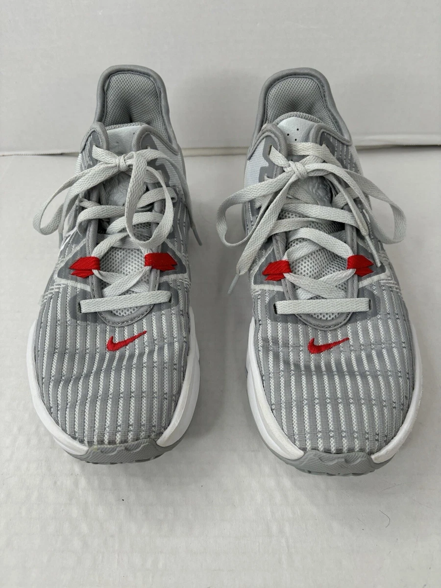 Nike LeBron Witness 6 Pure Platinum for Sale | Authenticity