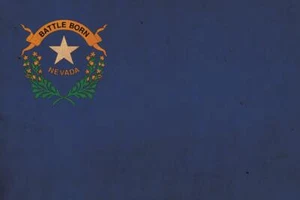 Vintage Nevada Flagge auf Leinwand, Nevada, Flagge, Wandkunst, Nevada Foto, Nevada Fla - Bild 1 von 6
