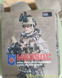 DAMTOYS DAM 78007 1/6 US Special Forces MARSOC Figure Stock Collection GIfr New - Picture 1 of 9