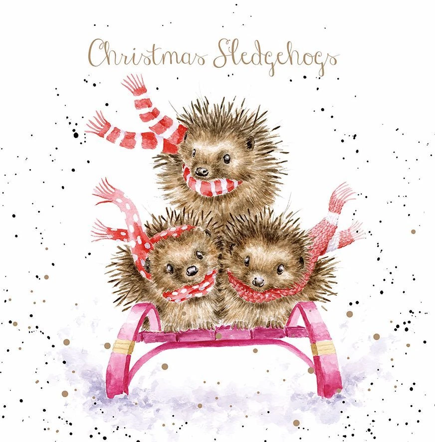 WRENDALE DESIGNS Funny Wrendale Hedgehog Sledge Christmas Cards - Set of 8 12cm Festive Cards