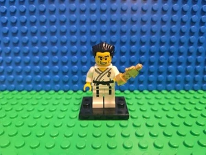 Lego Karate Master Minifigura Serie 2 Coleccionable 8684 CMF Raro Lote Retirado Difícil de Encontrar - Imagen 1 de 4