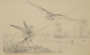 Otto Arnz (1823-aft. 1860) "Falken", Zeichnung, ca. 1850 - Bild 1 von 9