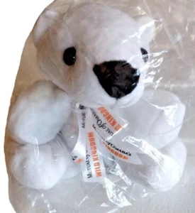 Mutual of Omaha Wild Kingdom Plüsch Beanie Sitzsack Eisbär 4 Zoll groß SELTEN NEU! - Bild 1 von 7