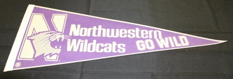 Vintage Northwestern Wildcats Go Wild 30x12 Pennant Cover
