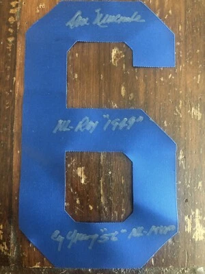 Don Newcombe Signed Autographed Brooklyn LA Dodgers Inscribed Jersey Number JSA - Image 1 of 3