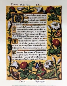 Jean Bourdichon - Book of Hours Art Print 11" x 14"  - Picture 1 of 1