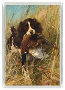 ENGLISH SPRINGER SPANIEL RETRIEVING DOG ART NOVELTY FRIDGE MAGNET GREAT GIFT - Foto 1 di 1