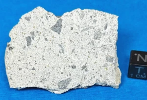 13,5 gr. REBANADA COSTROSA NWA 16087 ACONDRITA HOWARDITA METEORITO HED GROUP - Imagen 1 de 2