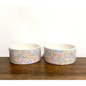 NWT: Laura Ashley - Ainsley, Floral, Ceramic, 16 oz. Pet Bowls (set of 2) - Picture 1 of 5