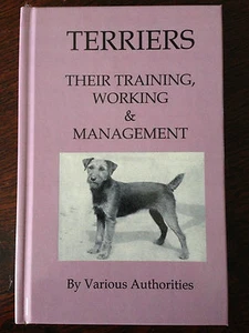 terriers dogs working ratting digging fox badger bull terrier bedlington border - Picture 1 of 1