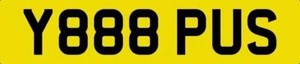 PUS NUMMERNSCHILD Y888 PUS YOU PUSSY PRIVATE KFZ-ZULASSUNG FUN CAR REG PLATE - Bild 1 von 4