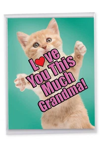 1 Big Funny Mother's Day Grandma Card - Cat Love You This Much Grandma J6610GMGG - Picture 1 of 6