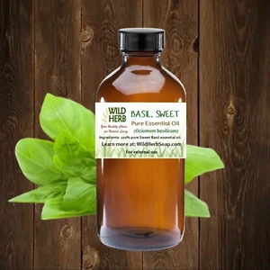 SWEET BASIL ORGANIC ESSENTIAL OIL | Pure, Full Strength | USA Seller | Bulk Size - Picture 1 of 15