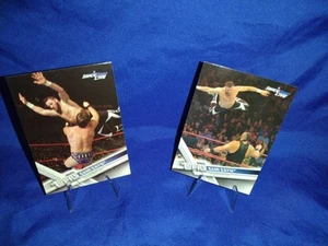 2017 WWE TOPPS SUPERSTAR SMACKDOWN LIVE SAMI ZAYN VARIATION & BASE CARD LOT RARE - Bild 1 von 5