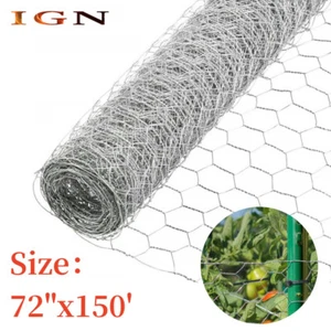2" Holes Galvanized Poultry Net - Metal Fencing / Chicken Wire 72" × 150' - Picture 1 of 15