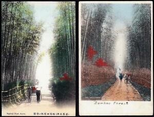 Lot of 2 - Gojo, Kyoto, Japan c.1907-10's -  Bamboo Grove along road - 1890's