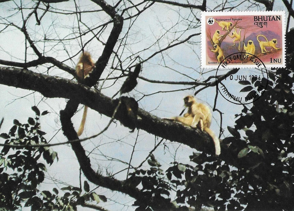 Golden Langur Monkey Manas National Park Endangered Species Bhutan FDC Card 1984 - Image 1 of 1