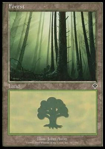 MTG - Forest (347) - Invasion - NM, English Magic FLAT RATE SHIP - Picture 1 of 1
