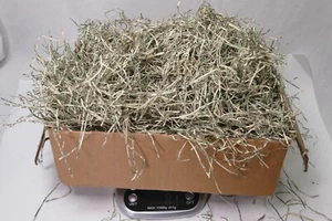 Vintage Over 1/2 Pound of Authentic Shredded US Currency Money - Long Sliced - Picture 1 of 21