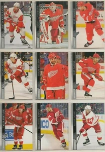 DETROIT RED WINGS ~ 2020-21 Upper Deck Series 1 & 2 TEAM SET ~ 12 Hockey Cards - Picture 1 of 4