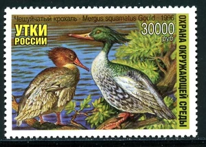 Russia OS #1206 MNH Ducks 1996 Birds FAUNA $$ 381017 - Picture 1 of 1