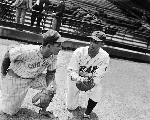Homestead Grays RAYMOND 'RAY' BROWN Glossy 8x10 Photo Negro League Poster HOF 06 Cover