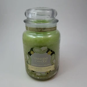 Honeydew Melon Yankee Candle Large 22 Oz Single Wick Jar New Old Stock - Picture 1 of 10