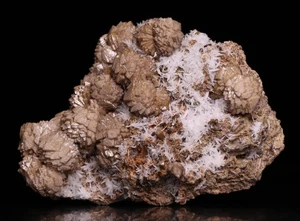 Small Cabinet Olmiite and Celestine on Matrix, N'Chwaning II, Northern Cape, ZA - Picture 1 of 6
