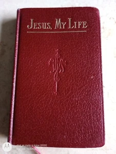 1958 JESUS MY LIFE ILLUSTRATED REVERAND LAWRENCE LOVASIK HC HARDCOVER BOOK - Picture 1 of 7