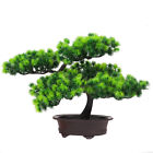 Artificial Home Simulation Pine Tree Potted Plant Office Decorative Bonsai