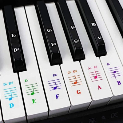 BYTEBOUNCE 44/49/61/76/88 Piano Keyboard Removable Stickers 36 white laminated sticker Ku