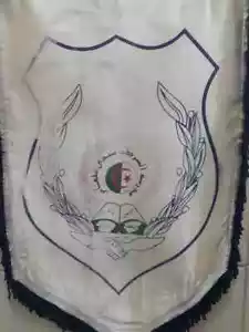 Emblema bandiera delle forze armate nazionali del popolo algerino Algeria vintage raro - Foto 1 di 6
